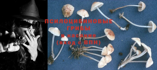 экстази Пестово